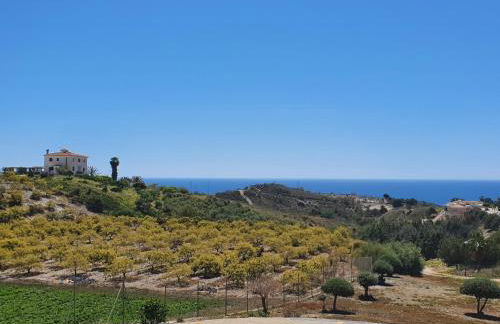 NIZA BEACH NIGHT AND DAY - Photo 23