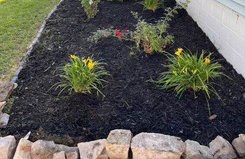 Benson. Cozy pet friendly living. No pet fees. - Photo 32