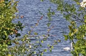 Ferienwohnung Lebensfreude Höxter im Weserbergland - Foto 44