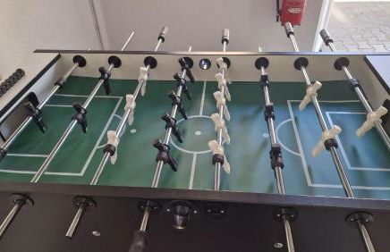 Blütenlodge Bodensee - Foto 36