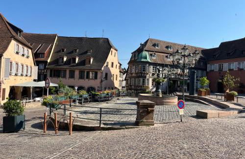 La Terrasse du Vignoble - Garage et parking privatifs - Photo 20