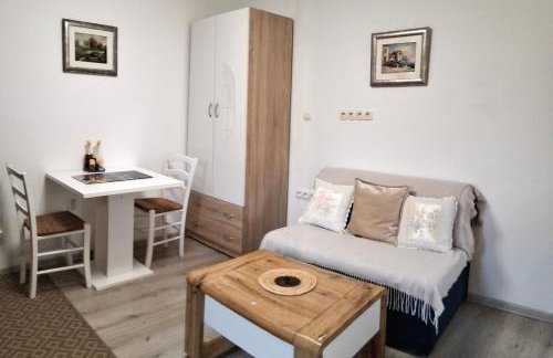 Apartman Sana - Foto 17