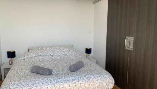 Appartement neuf, vue sur saône - Foto 4