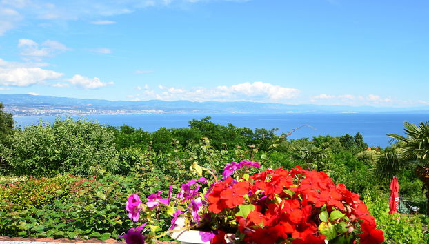 Zvonko - Foto 3, View