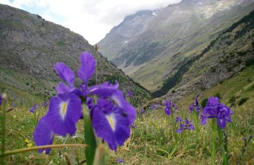 Cosy House Belsierre + Mountain View - Foto 19