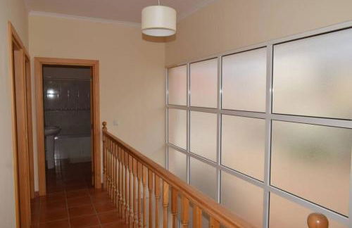 O DRAGOEIRO da Madalena! - Foto 27