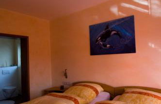 FeWo-Schwarzer - Foto 21