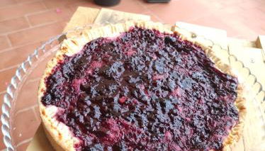 Sonnellino in Maremma - Foto 2