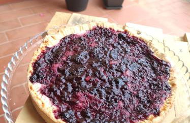 Sonnellino in Maremma - Foto 2