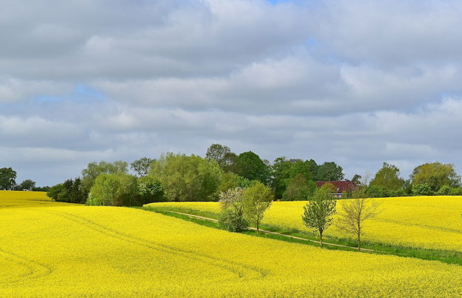 Apartment Near Wismar Baltic Sea Beaches - Photo 26