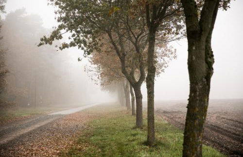 MCDreyer Ferienwohnung - Foto 44