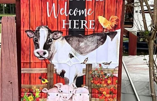 Stunning 1-bed Glamping Tent in Cleveland - Foto 25