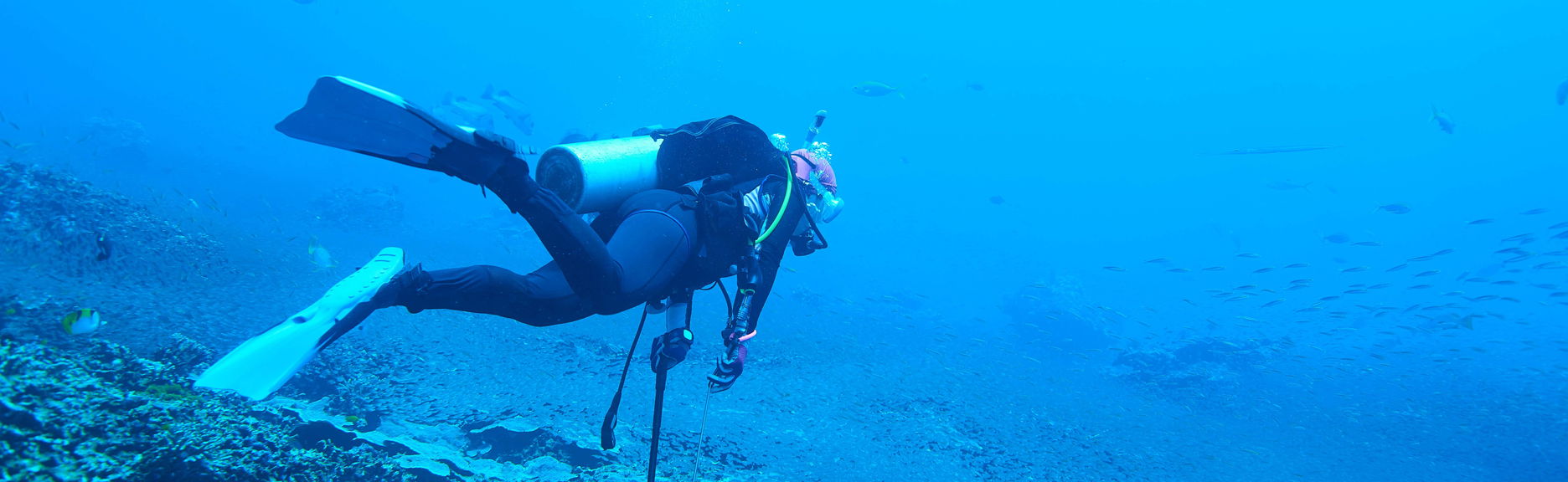 Mergulho em Sail Rock