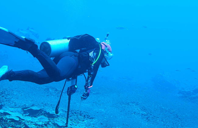 Mergulho em Sail Rock - Foto 1