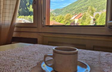 Val di Sole - Pejo1400 tylko 3 minuty od wyciągu - Foto 8