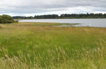 Stewarts Resort Lodge 1 - Foto 21