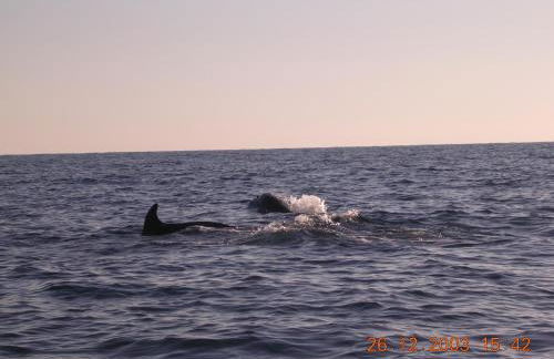 Holiday Home Santa Margherita Ligure - Foto 40