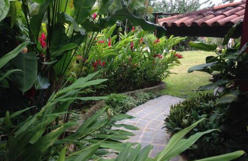 Mansão Panorâmica Angra dos Reis - Foto 46