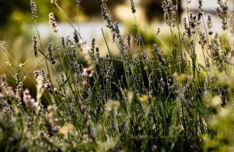 Loft de diseño en Masía Rural, Cantallops, Girona - Foto 19