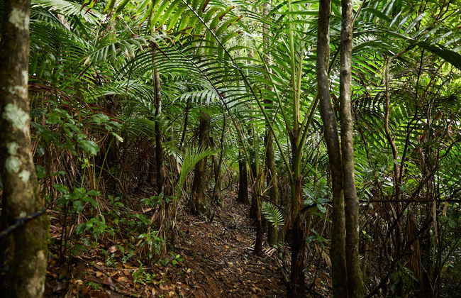 SELVA by DW - Photo 45