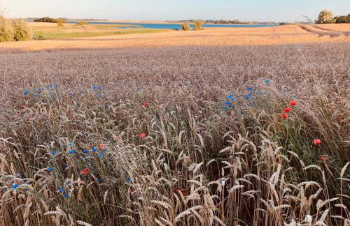 Ferienwohnung Zur Schoritzer Wiek - Foto 22