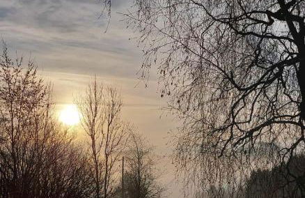 Ferienwohnung im Hambach - Foto 13