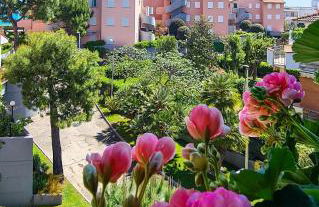 Il Grecale - Piscina e Ombrellone spiaggia prima fila incluso - Foto 18