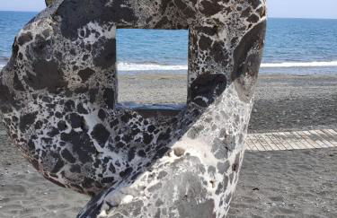 Estrella de Mar - Photo 41