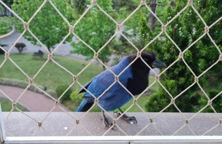 Espetacular Flat no Mountain Village - Foto 10