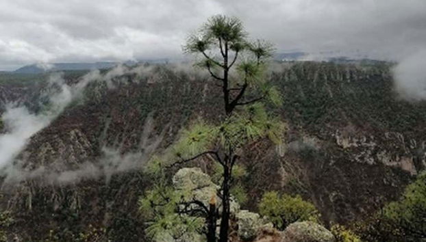 Get great views of the Tararecua Canyon