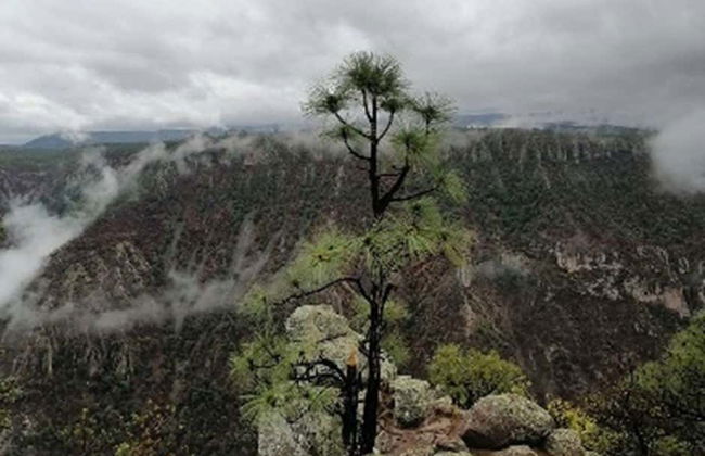 Randonnée dans la Barranca Tararecua - Photo 2
