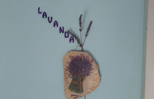 Sonnenvilla Milka - Photo 34