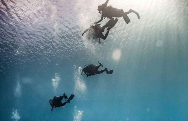 Baptême de plongée à San Andrés - Photo 1