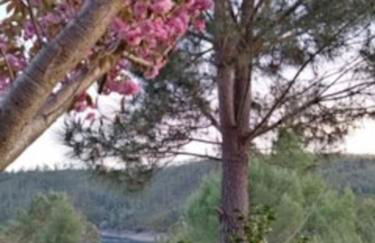 Casa RioTempo + Jangada - Foto 31