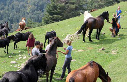 Casa Blanca - Foto 20