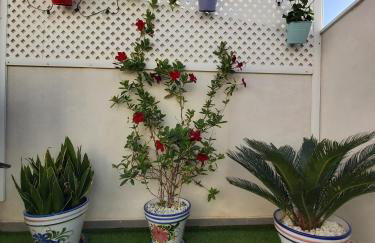 To Be (2B) in Malaga - Photo 23