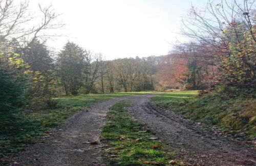 Chalet in Reinskopf With Fireplace - Foto 46