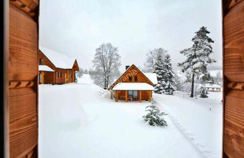 Bieszczadzkie Dworki - Foto 68