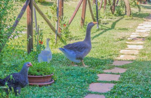 I Due Cipressi - Foto 36