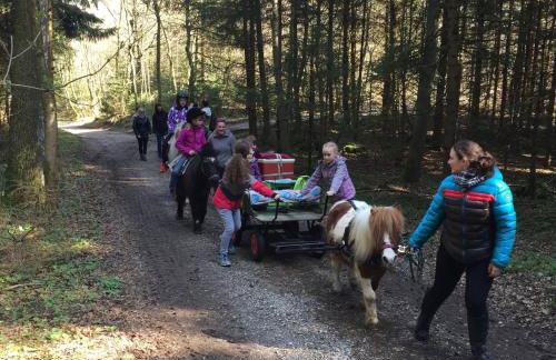 Ferienhaus Spielburg - Foto 54