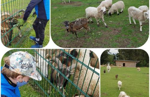 NEU Ferienwohnung im Nationalpark Bayrischer Wald - Foto 23