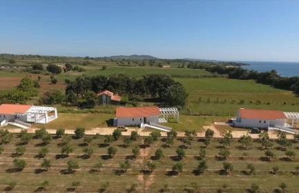 White Villas - Foto 70