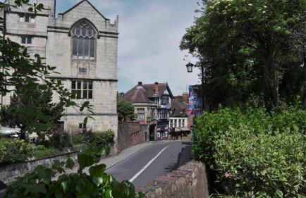 Meadow Terrace - Photo 10