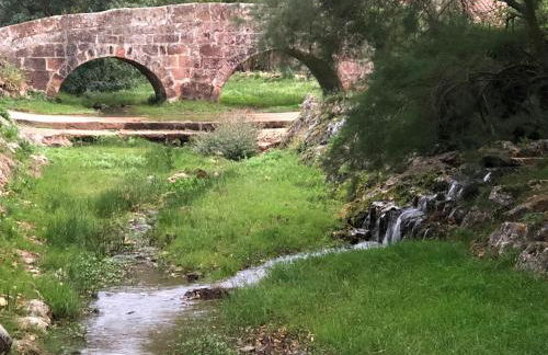 Paleolítico rural - Photo 57