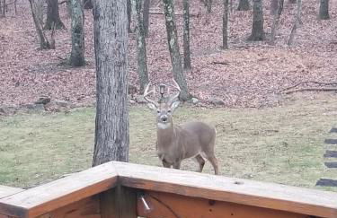 Serenity and Fun all in one in this Cozy Pocono Cabin - Foto 37