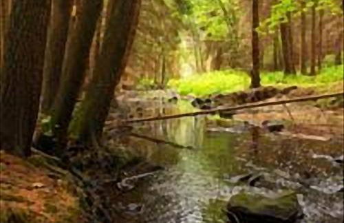 La Casa Di Nena - Foto 6