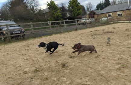 Owls Nest Log Cabin - Foto 16
