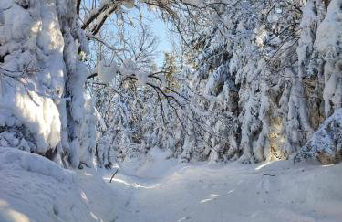 Stara Plebania - Foto 40
