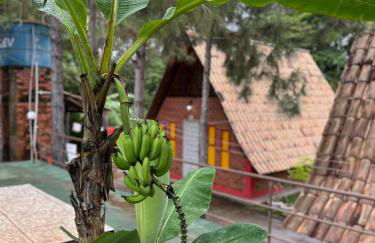 Pousada Vereda das Aguas - Foto 19