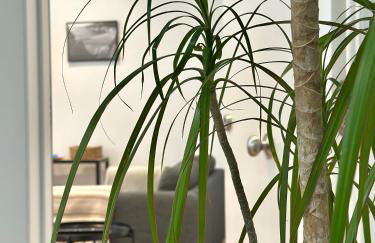 CoruñaFlat Apartments - Centro A Coruña - Foto 16